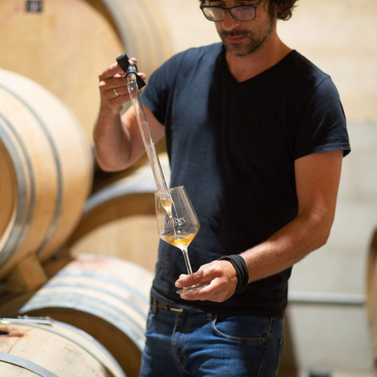 Vins de la route du vin d’Arribes