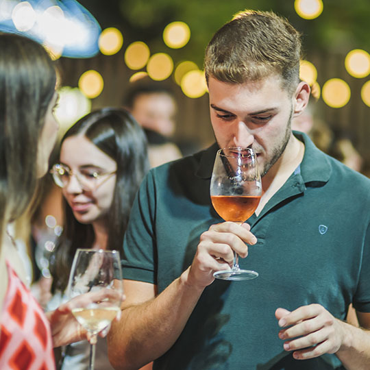Vini nell’itinerario enoturistico della Mancha