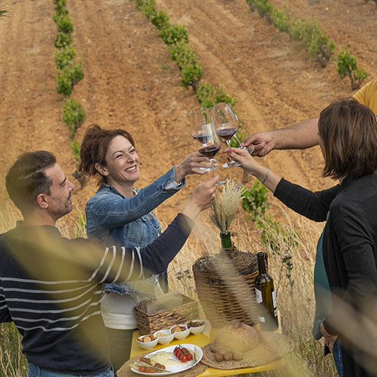 Wines on the Toro wine route