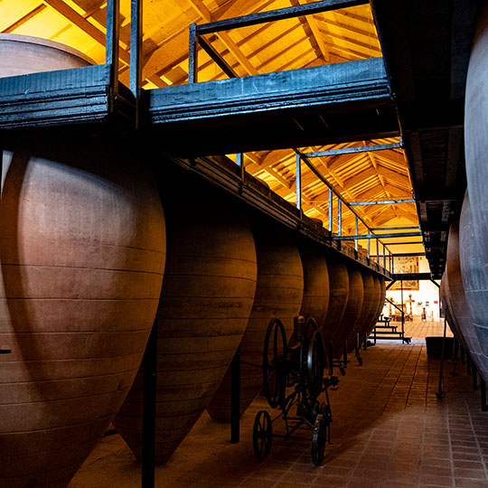 Museo del vino dell’itinerario enoturistico di Valdepeñas