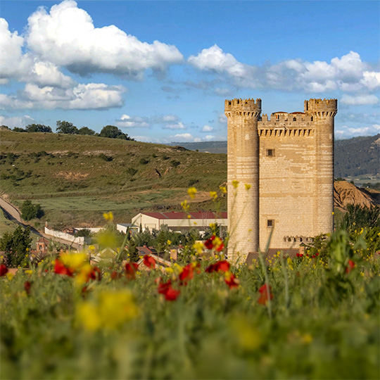 Zamek Fuensaldaña, Cigales (Valladolid)