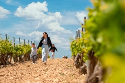 Família passeando em um vinhedo. Rota do Vinho de Cigales