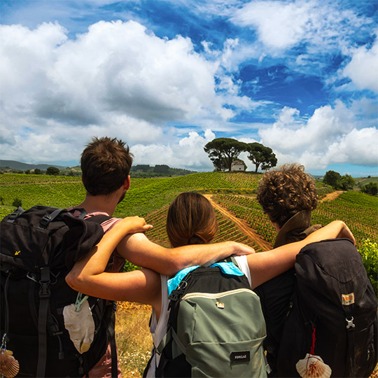 Turisti in un vigneto dell’itinerario enoturistico del Bierzo 