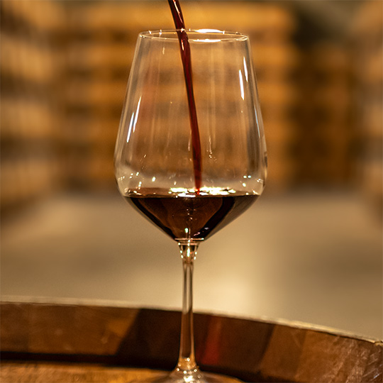 A glass of wine. Jumilla wine route. Murcia