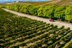 Paesaggio dell'itinerario enoturistico e del brandy del Marco de Jerez