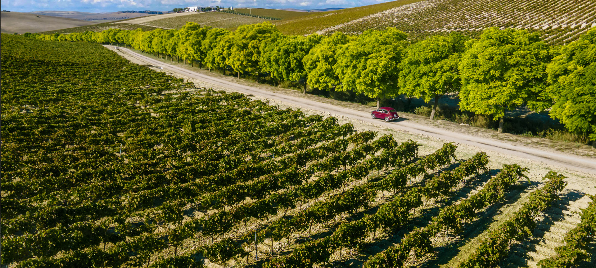 Ein Tag auf der Wein- und Brandyroute durch Marco de Jerez
