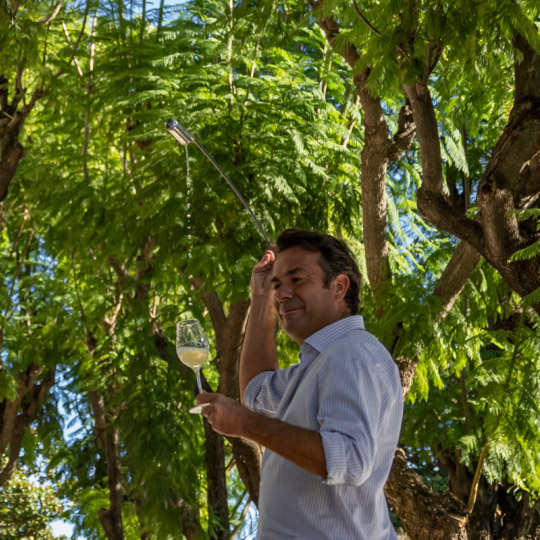 Belüftung des Weins – Wein- und Brandyroute durch Marco de Jerez