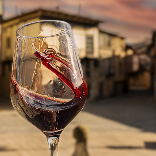 Calice di vino. Itinerario enoturistico della Ribera del Duero