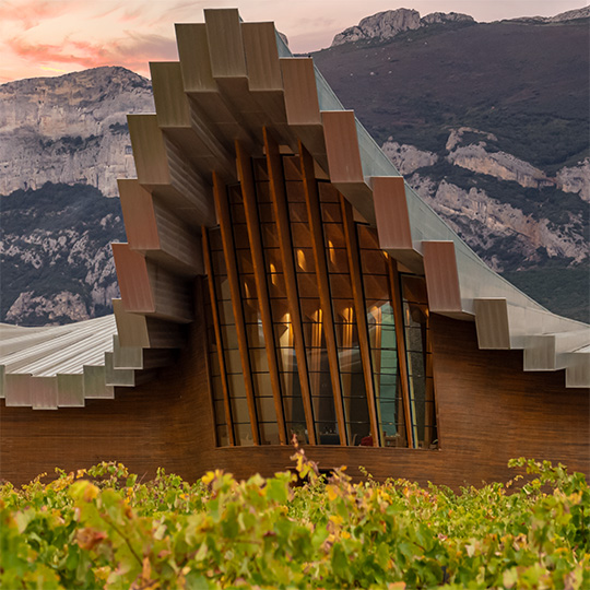 Bodegas Ysios. Itinerario enoturistico della Rioja Alavesa