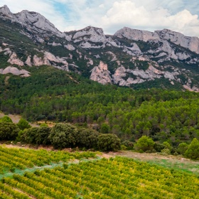Paesaggio dell'itinerario enoturistico della Rioja Alavesa
