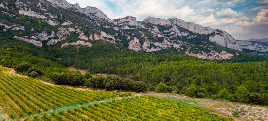 Paesaggio dell'itinerario enoturistico della Rioja Alavesa Paesaggio dell'itinerario enoturistico della Rioja Alavesa