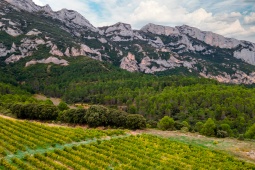 Landscape on the Rioja Alavesa Wine Route