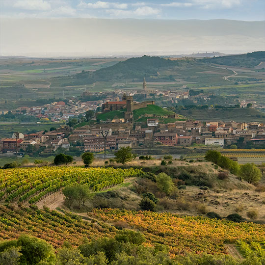 Landscape on the Rioja Alta Wine Route
