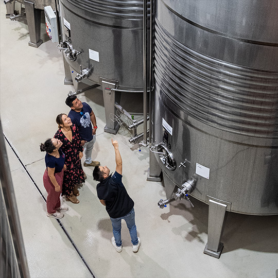 Cantina. Itinerario enoturistico di Rueda