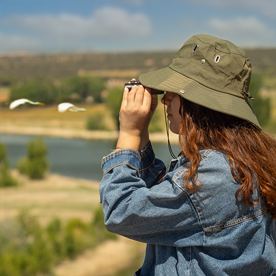 Turista con binocolo
