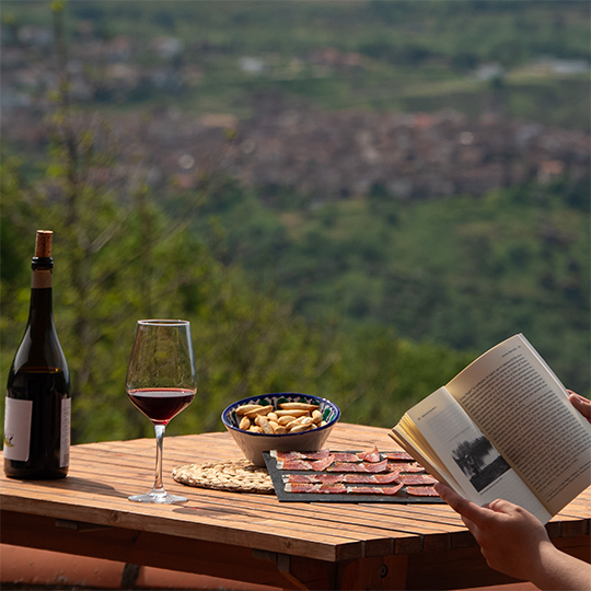 Lecture avec un verre de vin et des tapas. Route des vins de la Sierra de Francia