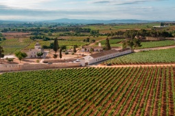 Rota do Vinho Utiel - Requena