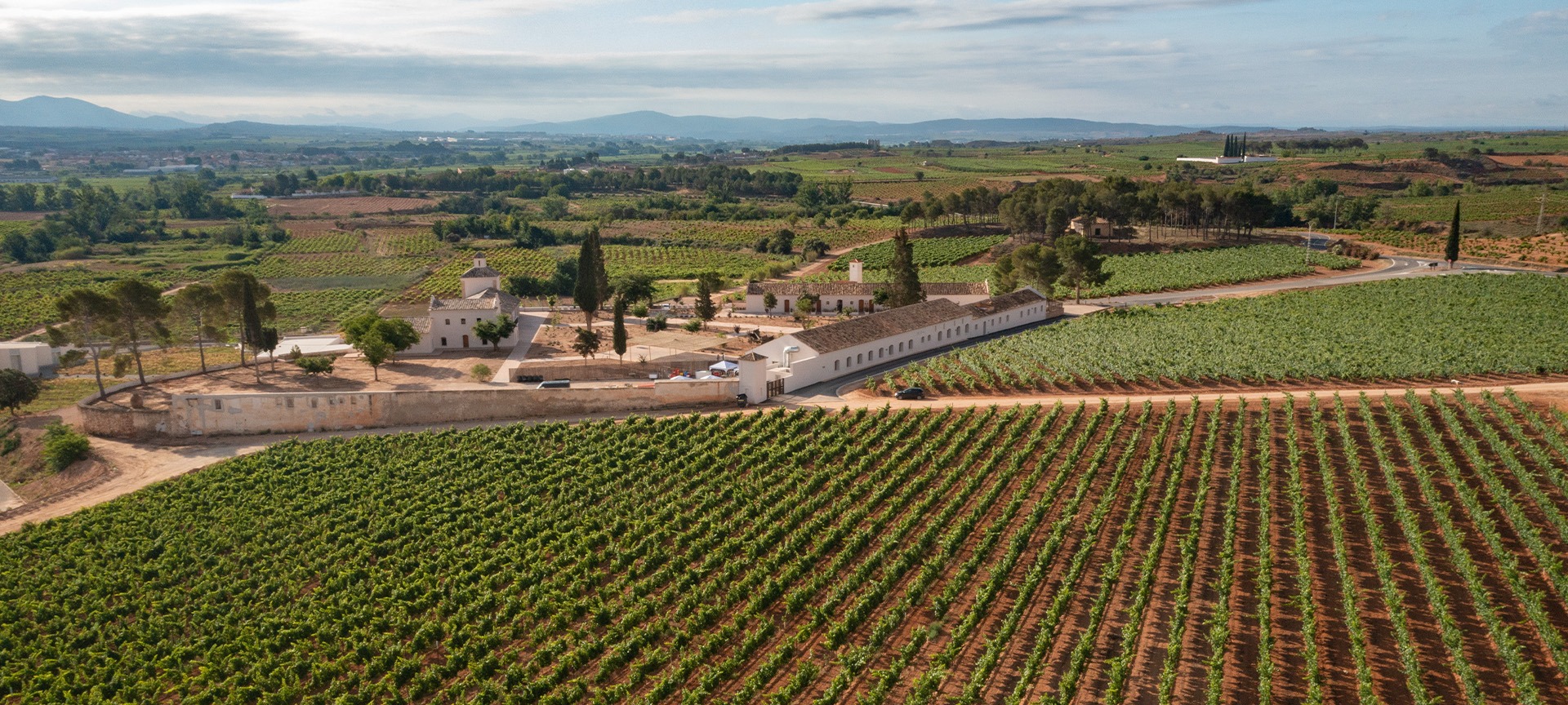 Itinerario enoturistico Utiel-Requena