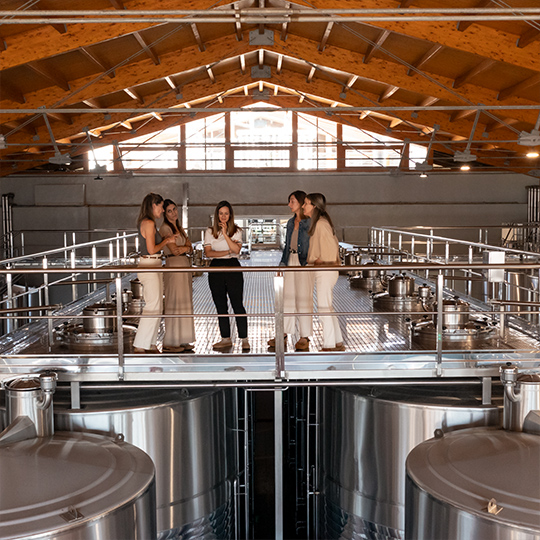 Pessoas fazendo um tour em uma vinícola na Rota do Vinho de Yecla