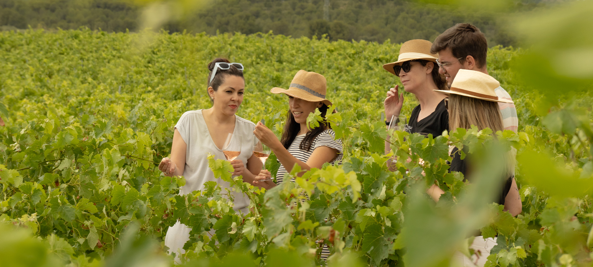 Pessoas olhando para um vinhedo. Rota do vinho de Yecla