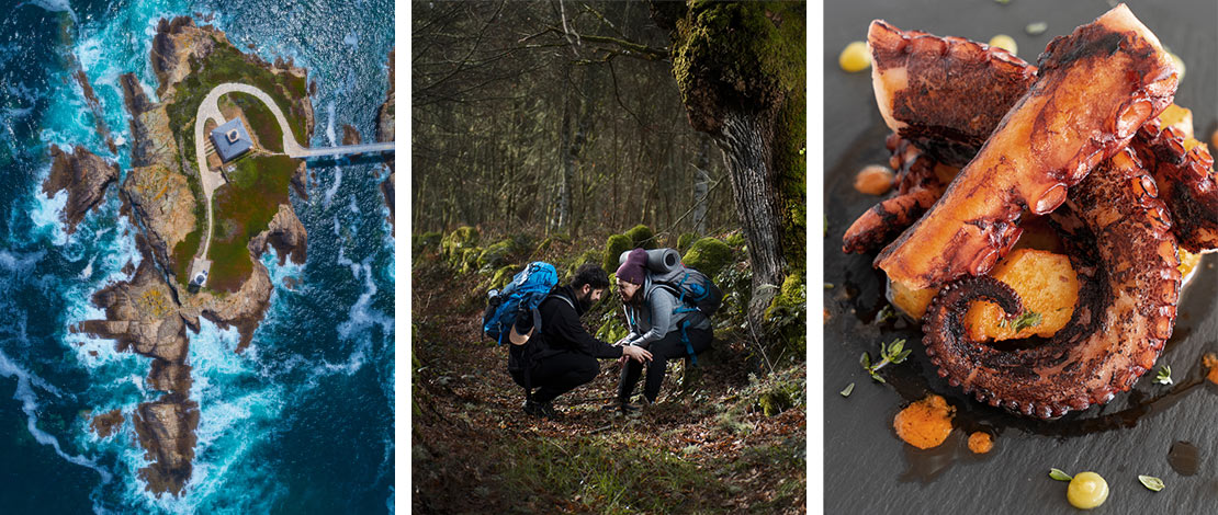 Izquierda: Faro en Ribadeo / Medio: Peregrinos en el bosque de Galicia / Derecha: Plato de pulpo Izquierda: Faro en Ribadeo / Medio: Peregrinos en el bosque de Galicia / Derecha: Plato de pulpo