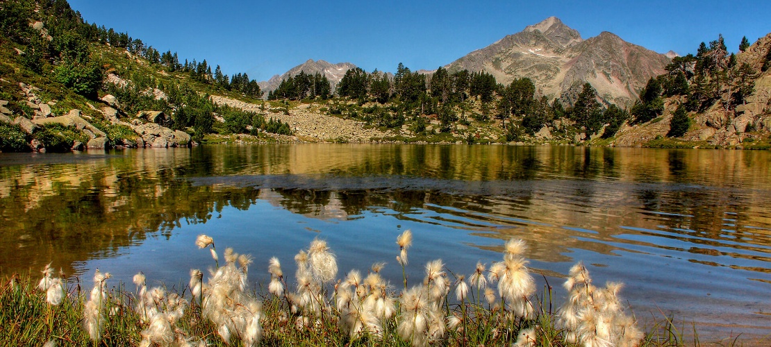 Parque Nacional de Aigüestortes i Estany de Sant Maurici Parque Nacional de Aigüestortes i Estany de Sant Maurici