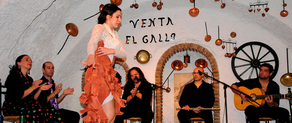Espectáculo de flamenco en Sacromonte, Granada Espectáculo de flamenco en Sacromonte, Granada