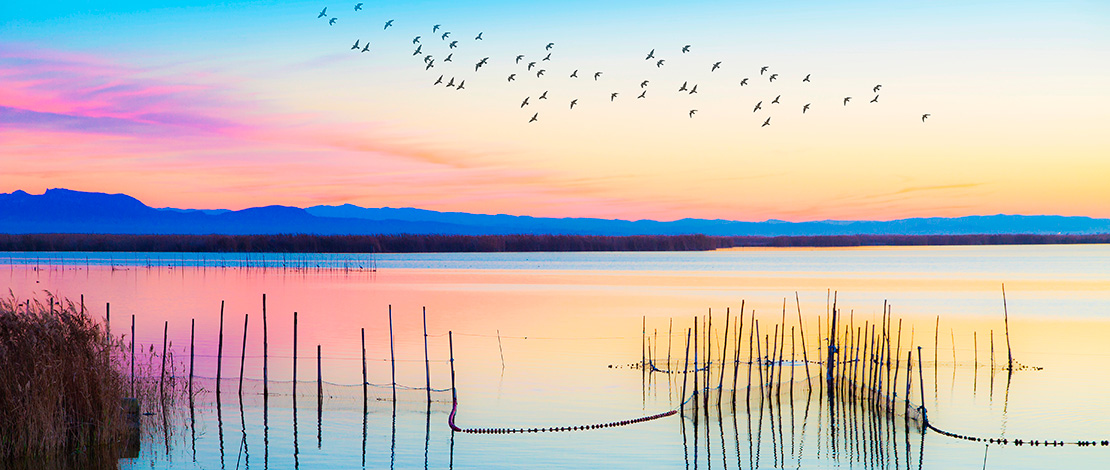 Parque Natural da Albufera Parque Natural da Albufera