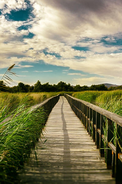 Lagoon in the Tablas de Daimiel National Park Lagoon in the Tablas de Daimiel National Park