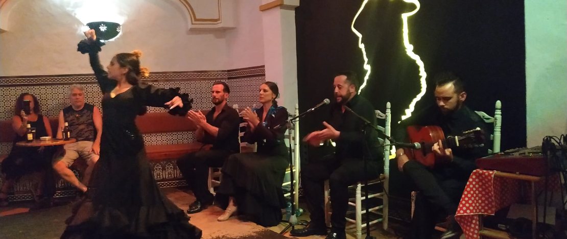 Espectáculo flamenco en El Burro Blanco de Nerja en Málaga, Andalucía Espectáculo flamenco en El Burro Blanco de Nerja en Málaga, Andalucía