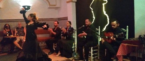 Espectáculo flamenco en El Burro Blanco de Nerja en Málaga, Andalucía Espectáculo flamenco en El Burro Blanco de Nerja en Málaga, Andalucía