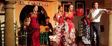 Detalle de actuación flamenca en El Cardenal de Córdoba Detalle de actuación flamenca en El Cardenal de Córdoba