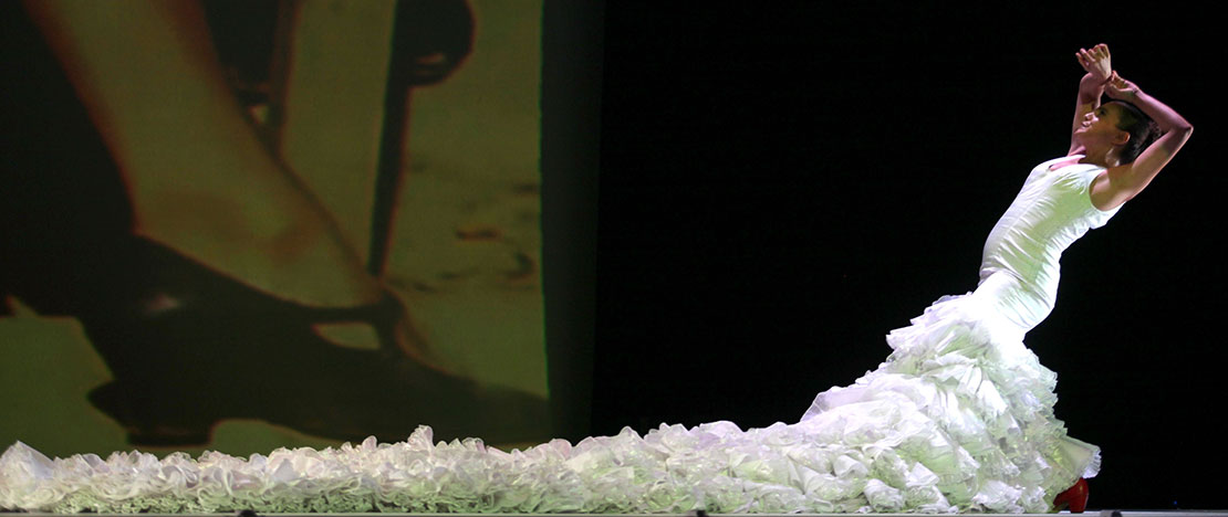 Flamenco-Biennale, Nationalballett von Andalusien