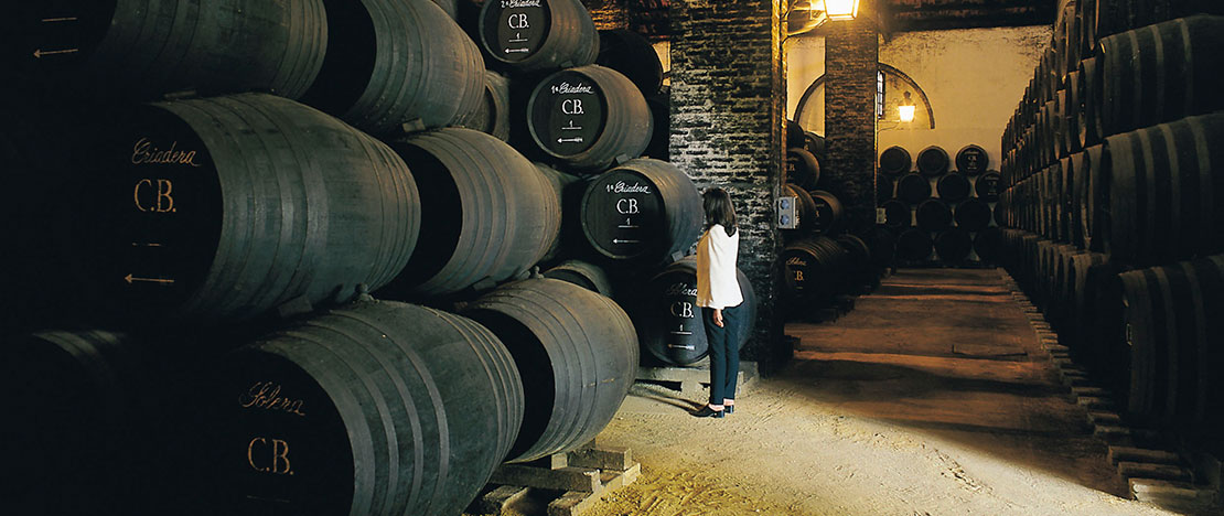 Winery in Montilla, Andalusia Winery in Montilla, Andalusia