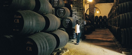 Winery in Montilla, Andalusia Winery in Montilla, Andalusia