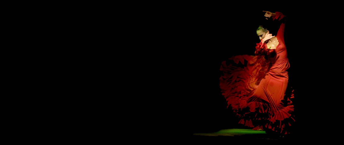 Flamenco Flamenco
