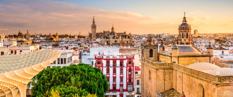 Vista de la Iglesia de la Anunciación y de la Catedral de Sevilla, Andalucía Vista de la Iglesia de la Anunciación y de la Catedral de Sevilla, Andalucía