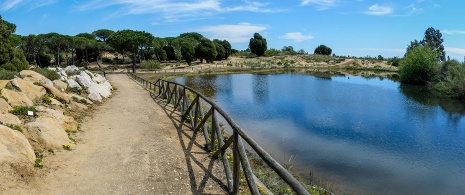 Dunas del Odiel Botanical Garden, Huelva Dunas del Odiel Botanical Garden, Huelva