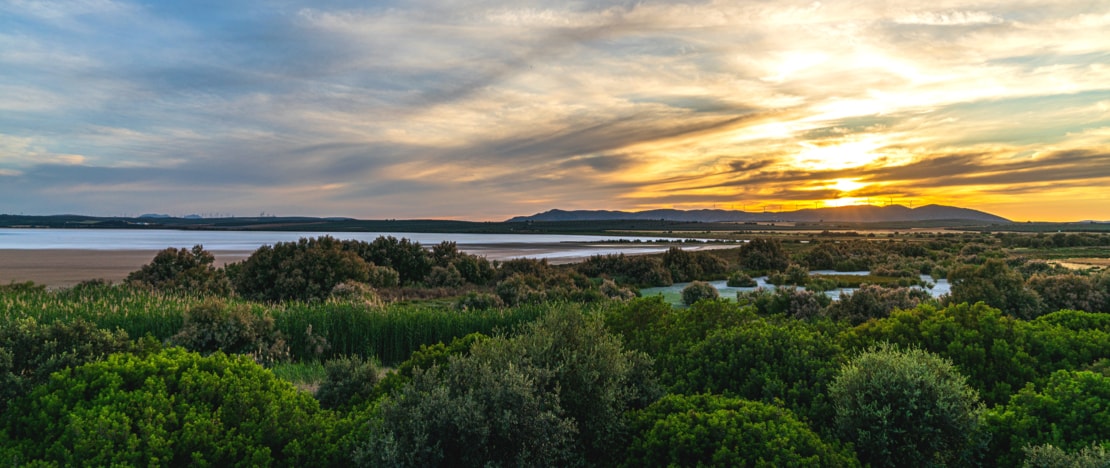View of the Fuente de Piedra Lagoon in Malaga, Andalusia