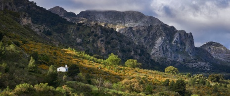 Vista das montanhas no Parque Nacional de Sierra de las Nieves em Málaga, Andaluzia Vista das montanhas no Parque Nacional de Sierra de las Nieves em Málaga, Andaluzia