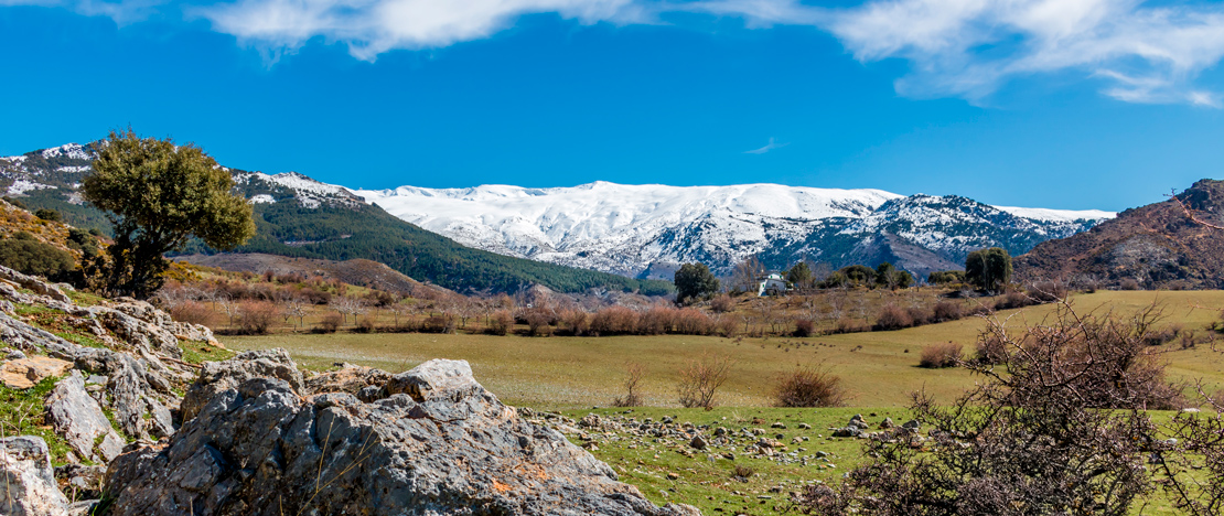 Widok na góry w Parku Narodowym Sierra Nevada w Grenadzie, Andaluzja Widok na góry w Parku Narodowym Sierra Nevada w Grenadzie, Andaluzja