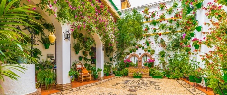 A courtyard in Cordoba A courtyard in Cordoba