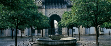Paseo de los Naranjos, Seville Paseo de los Naranjos, Seville