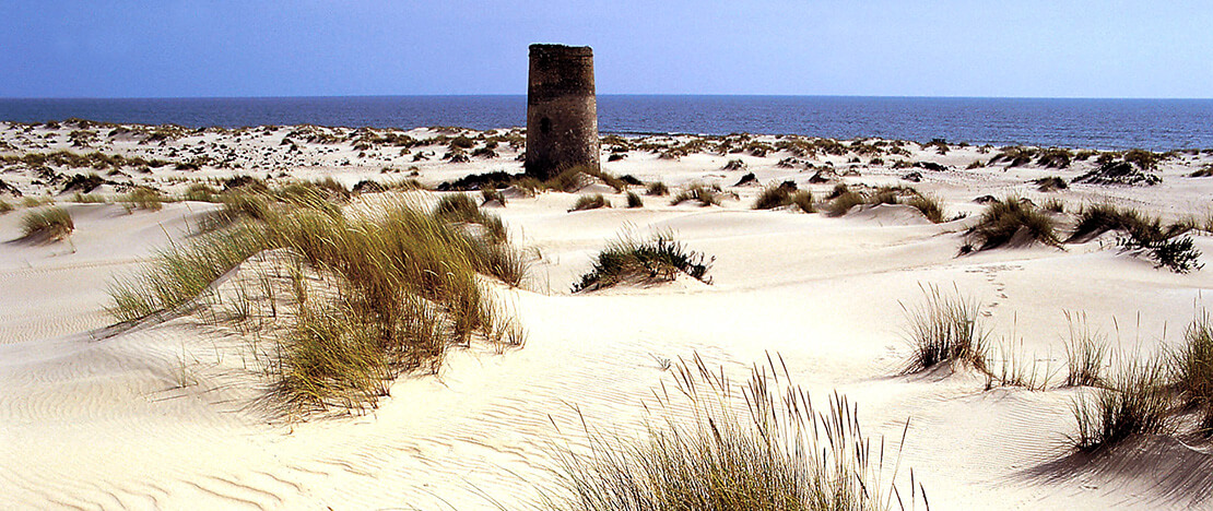 Doñana National Park Doñana National Park