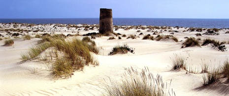 Doñana National Park Doñana National Park