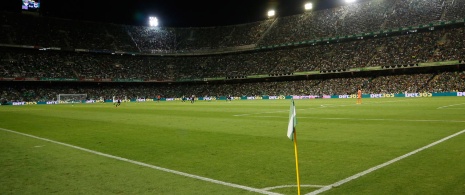 Betis’ pitch, Benito Villamarín stadium Betis’ pitch, Benito Villamarín stadium