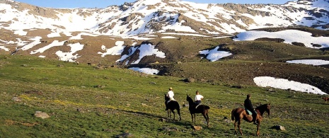 Horse-riding tourism in the Sierra Nevada National Park, Granada (Andalusia) Horse-riding tourism in the Sierra Nevada National Park, Granada (Andalusia)