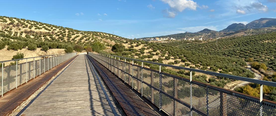 Torredelcampo oil greenway Torredelcampo oil greenway