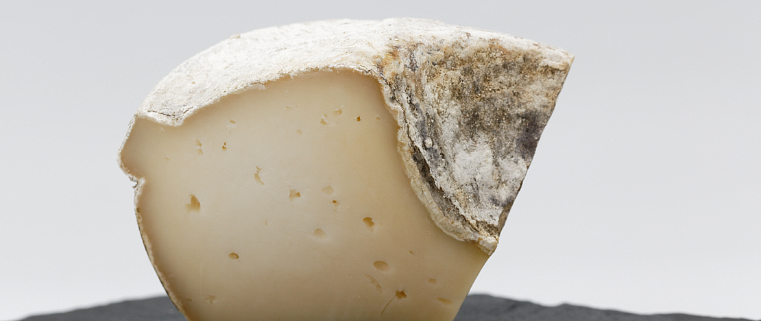 Tronchón cheese, typical of Maestrazgo Tronchón cheese, typical of Maestrazgo