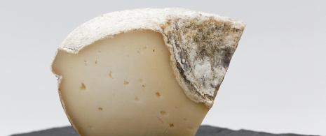 Tronchón cheese, typical of Maestrazgo Tronchón cheese, typical of Maestrazgo